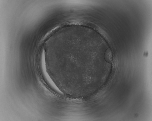 X0000112800722200909111235