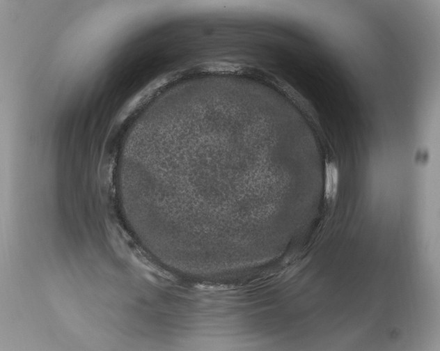 X0000112800723200909111235