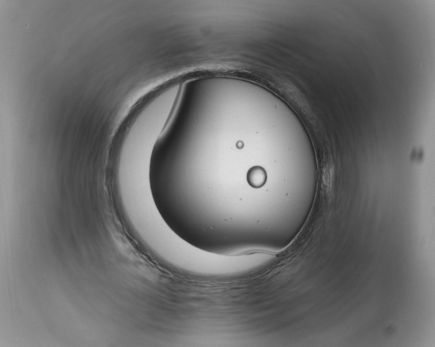 X0000112800724200909111235