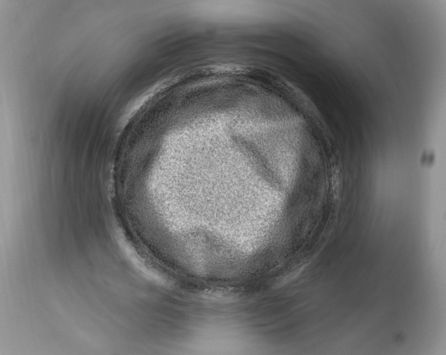 X0000112800725200909111235