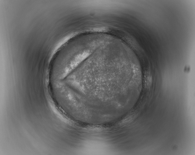 X0000112800726200909111235