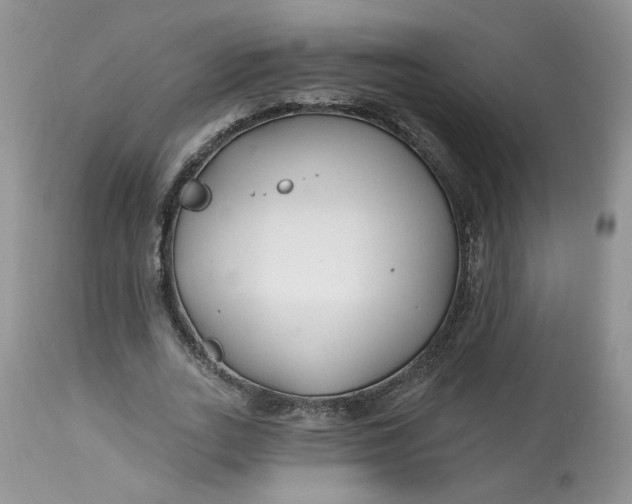 X0000112800727200909111235