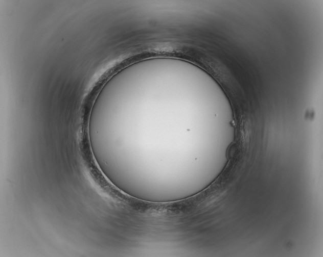 X0000112800728200909111235