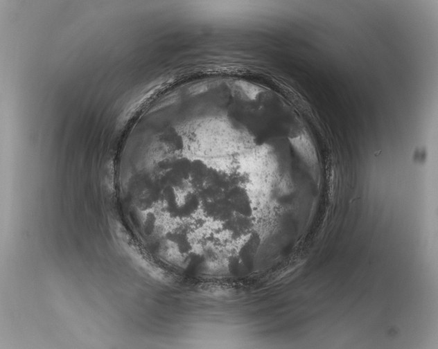 X0000112800729200909111235