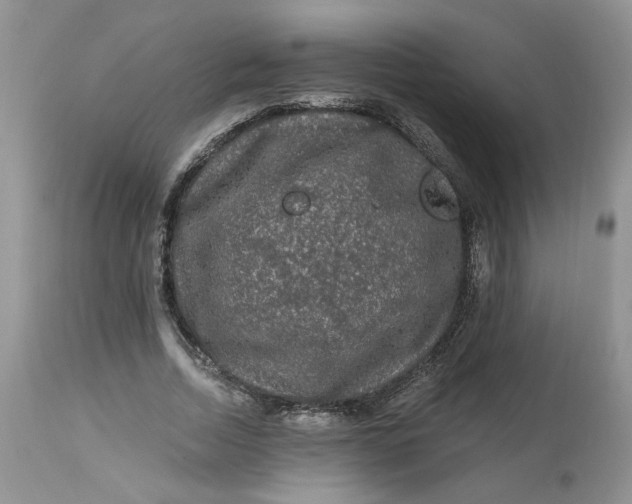 X0000112800730200909111235