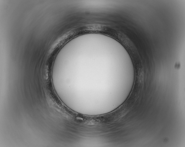 X0000112800731200909111235