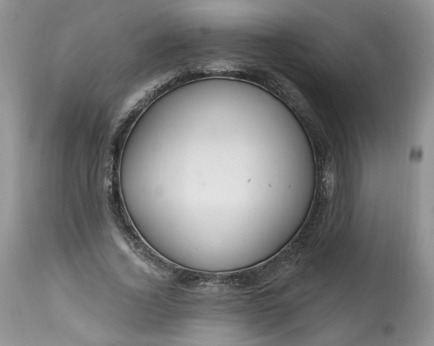 X0000112800732200909111235