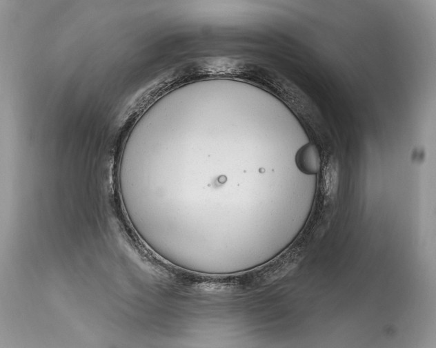 X0000112800733200909111235