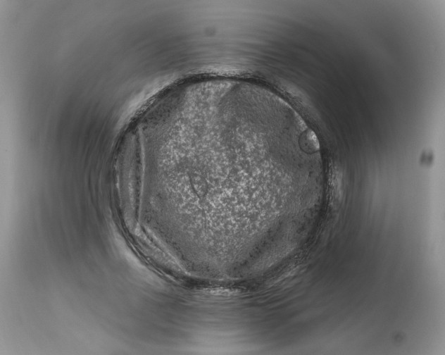 X0000112800734200909111235