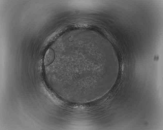 X0000112800735200909111235