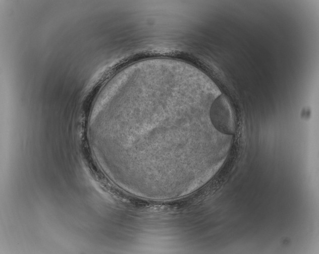 X0000112800736200909111235