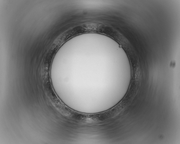 X0000112800737200909111235