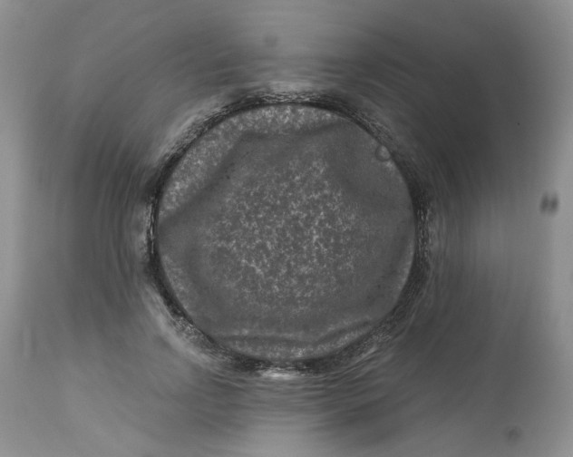 X0000112800742200909111235