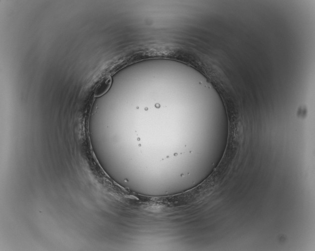 X0000112800743200909111235