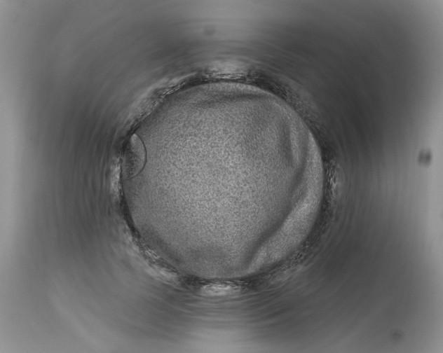 X0000112800745200909111235