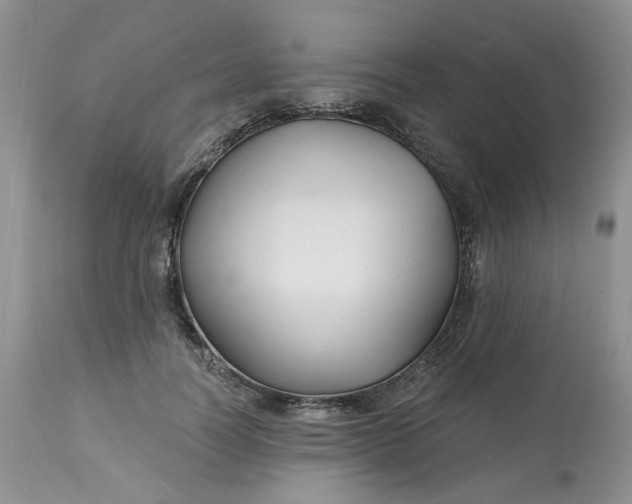 X0000112800746200909111235