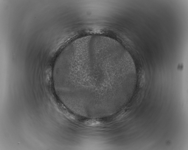 X0000112800747200909111235