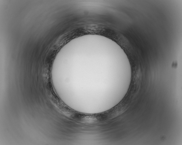 X0000112800749200909111235