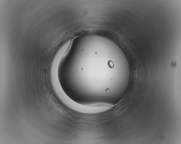 X0000112800750200909111235