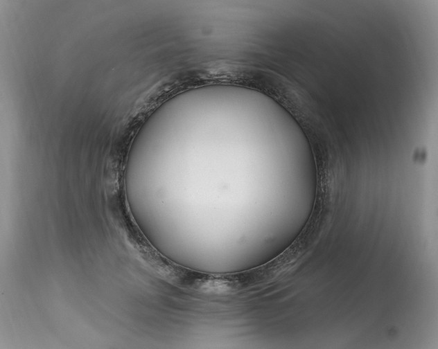 X0000112800751200909111235