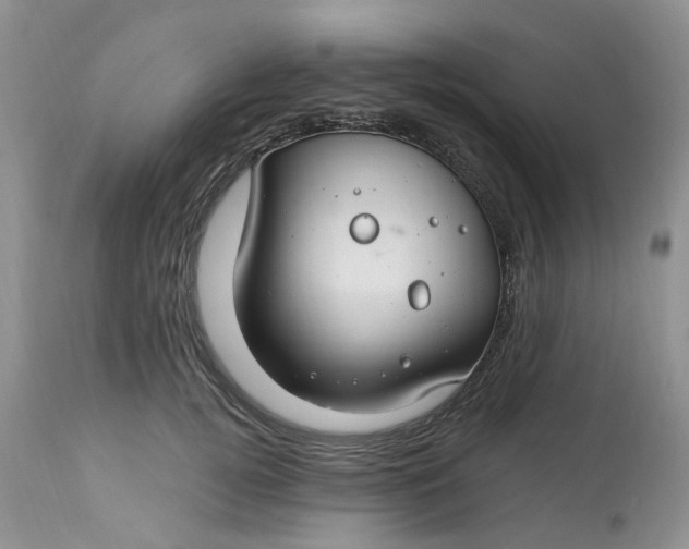 X0000112800752200909111235