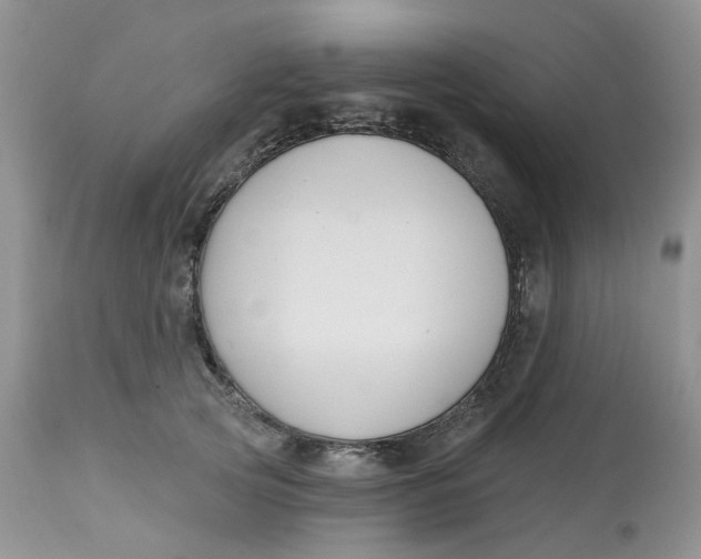 X0000112800753200909111235