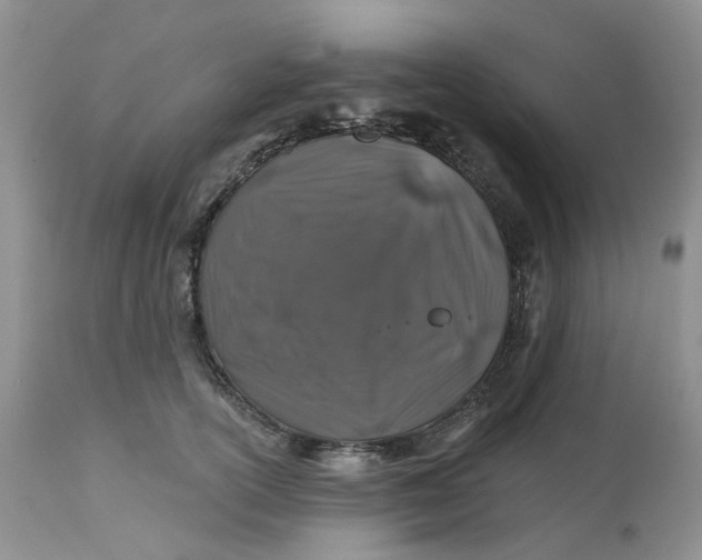 X0000112800754200909111235