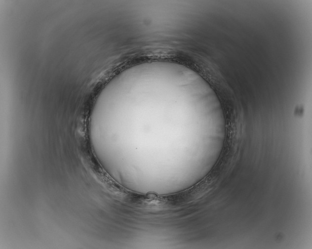 X0000112800755200909111235