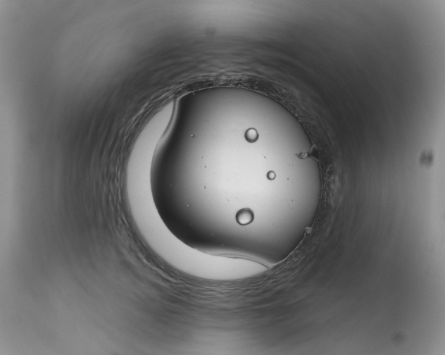 X0000112800756200909111235