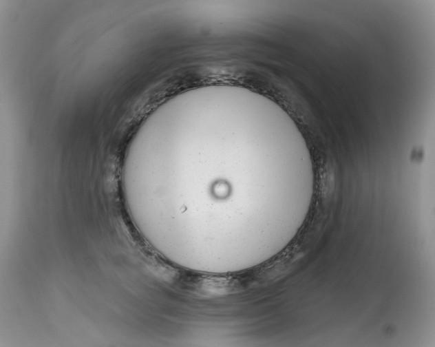 X0000112800757200909111235