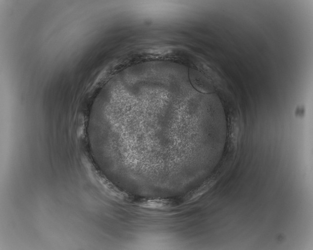 X0000112800758200909111235