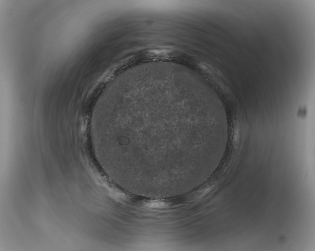 X0000112800759200909111235