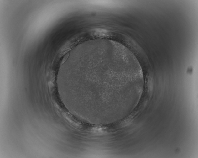 X0000112800760200909111235