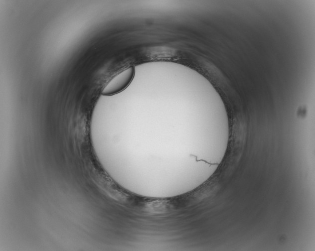 X0000112800761200909111235