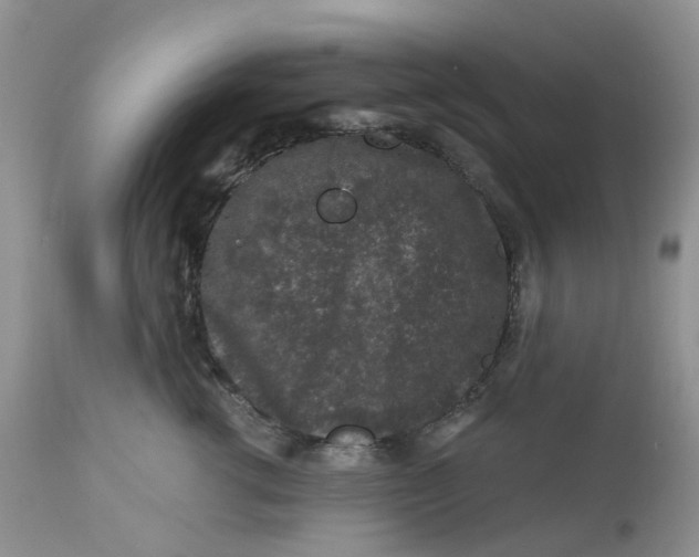 X0000112800762200909111235