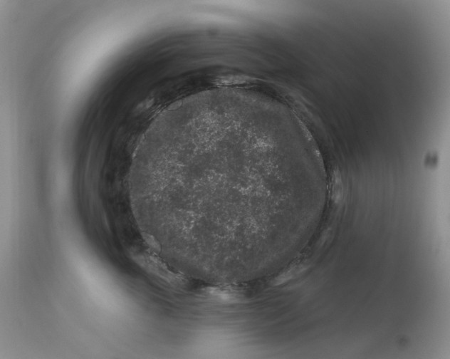 X0000112800763200909111235