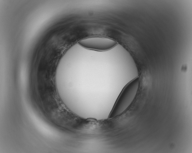 X0000112800764200909111235