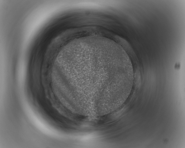 X0000112800765200909111235