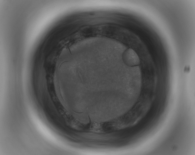 X0000112800766200909111235