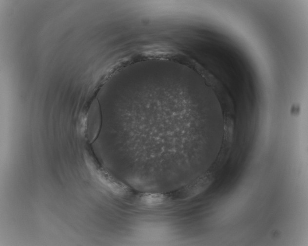 X0000112800767200909111235