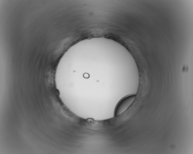 X0000112800768200909111235