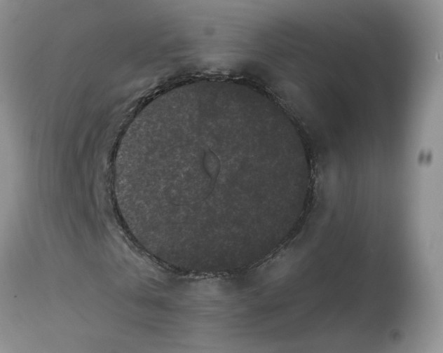 X0000112800769200909111235