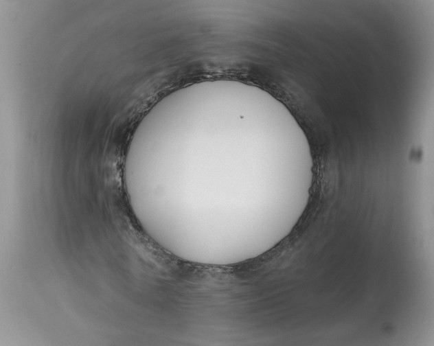 X0000112800770200909111235