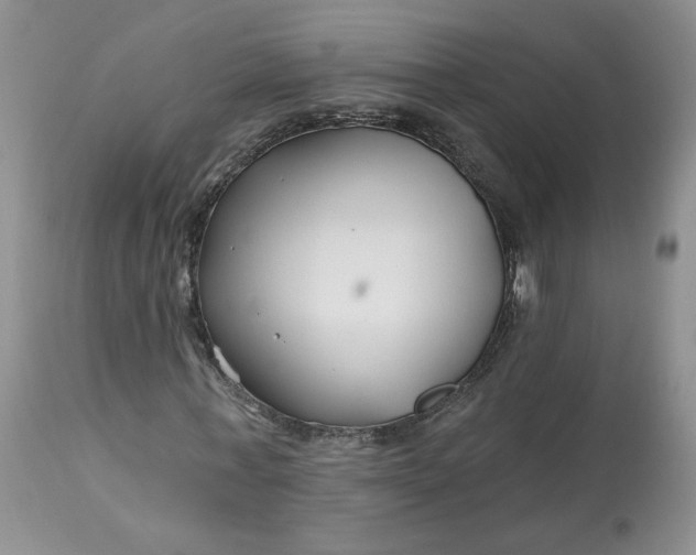 X0000112800771200909111235