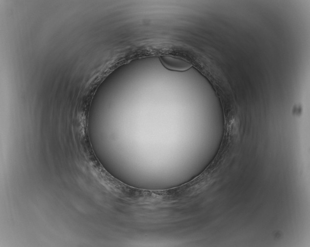 X0000112800772200909111235