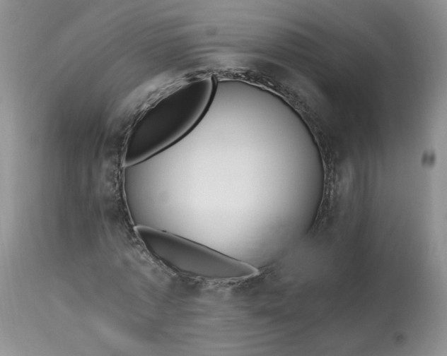 X0000112800773200909111235