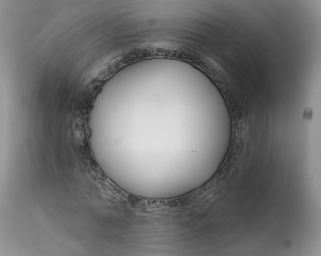 X0000112800774200909111235