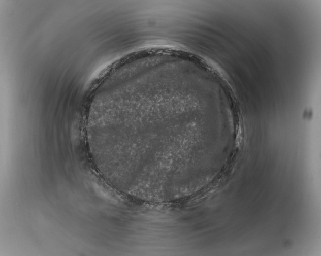 X0000112800775200909111235