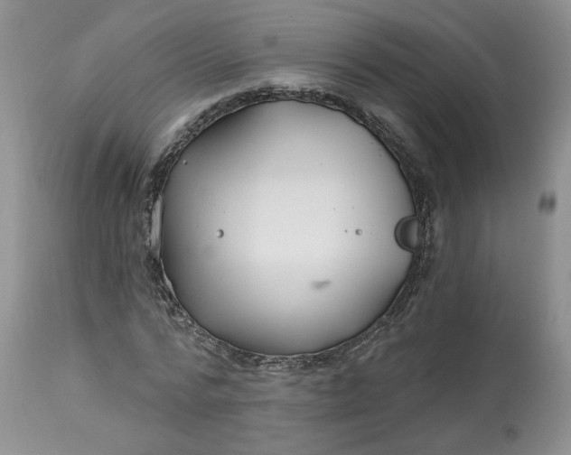 X0000112800776200909111235