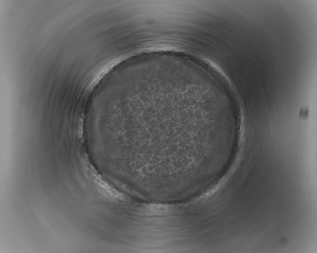 X0000112800777200909111235